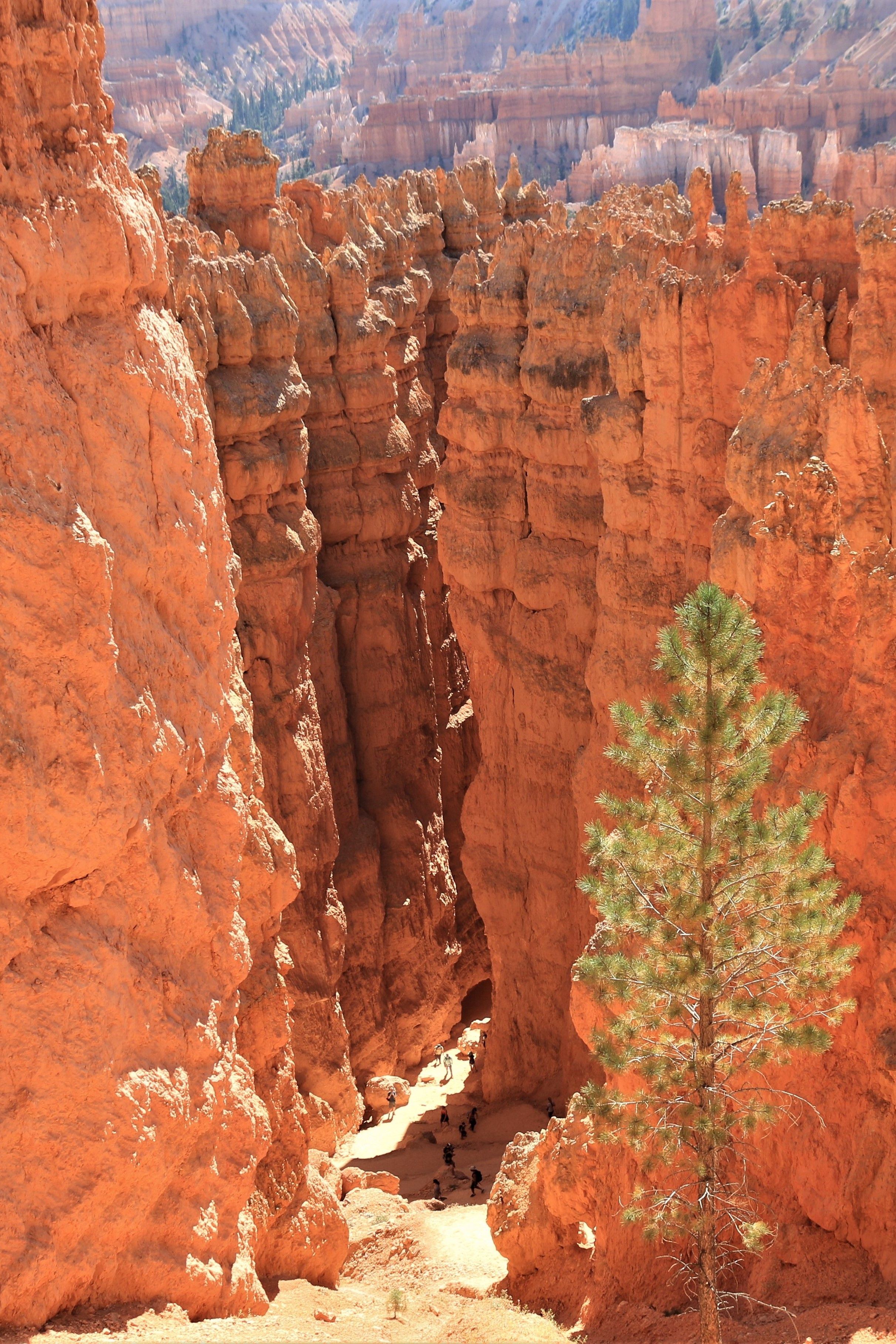 Bryce Canyon NP